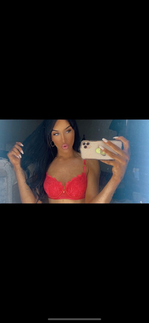 Header of tamzintltxo