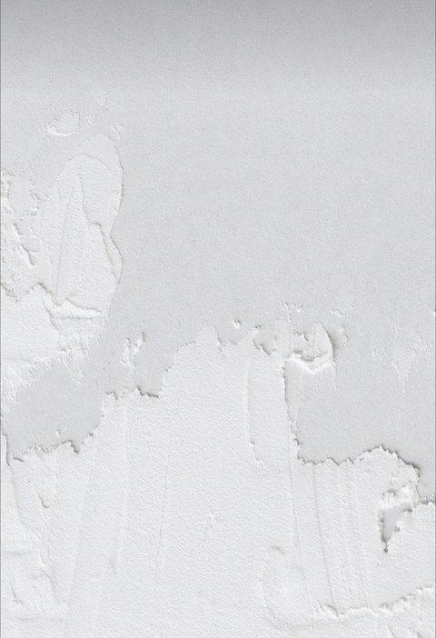 Header of tanyshagrayx