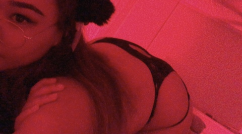 Header of tartagliashawty