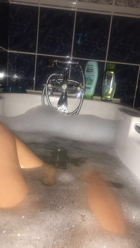 Header of tatilegi_18