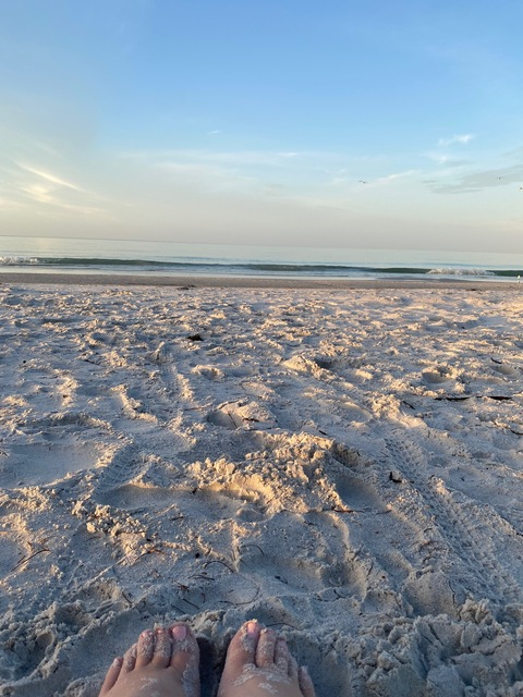 Header of tattedcurve