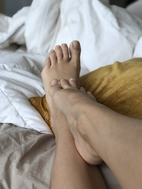 Header of taylas-footpage