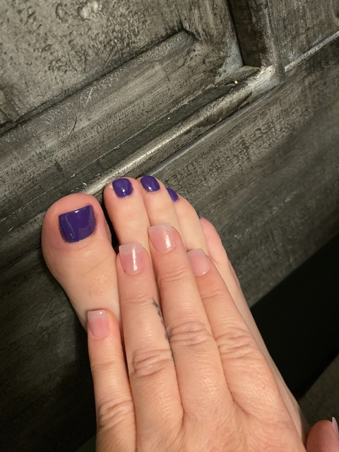 Header of taylorj2316