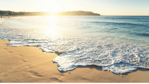 Header of taylorrae85