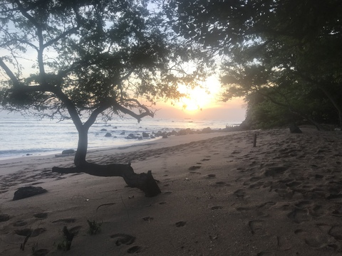 Header of thebestamateur