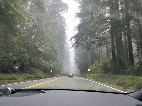 Header of theboynxxtdoor