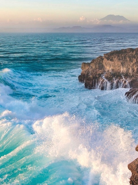 Header of thechleopatrapaige