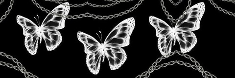 Header of thenikkinorthh