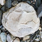 thepornfather (The Porn Father) free OnlyFans Leaked Videos and Pictures 

 profile picture