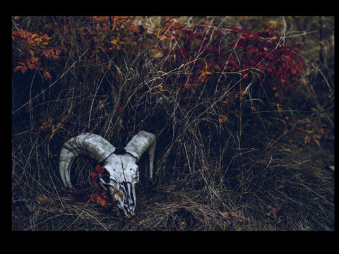 Header of thesatanist69