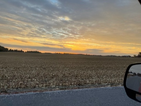 Header of thestonerchick