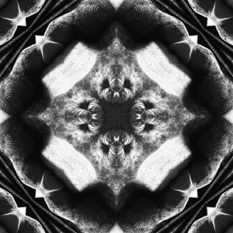 Header of thickstuffed