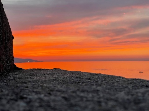 Header of thladylillian