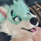 Quartz 💕 thylasaur Leaked OnlyFans 

 profile picture