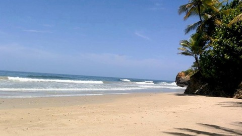 Header of tia.tamara