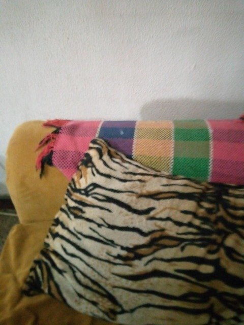 Header of tito202020