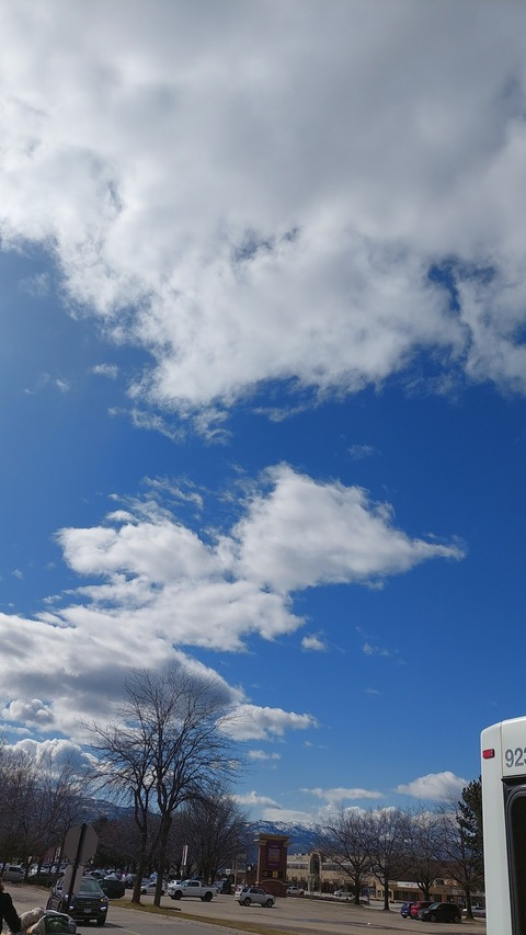 Header of transgendyke