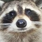 trash (trash) OnlyFans Leaks 

 profile picture