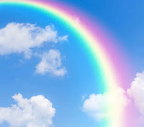 Header of trippykidd3