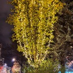 Onlyfans leaks troyboltonnnn 

 profile picture