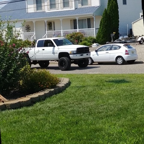 Header of truckbunniee