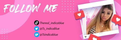 Header of tsindicapremium