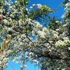 tydur586 (Tyler Durden) OnlyFans content 

 profile picture