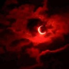 u121263562 (Luci sex) free OnlyFans Leaks 

 profile picture