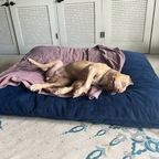 u249321866 (Michael) free OnlyFans Leaks 

 profile picture