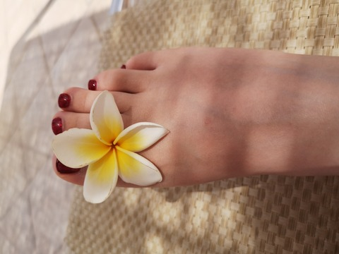 Header of u252250293