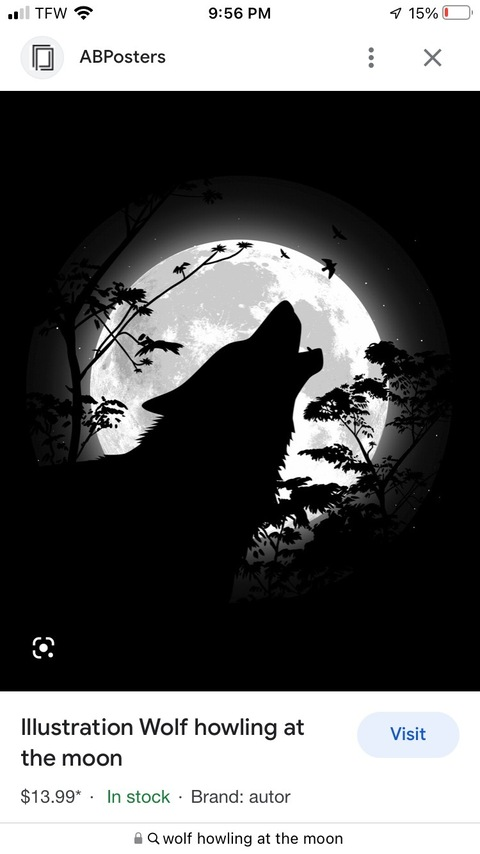 Header of u285552150