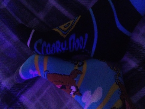 Header of u296734857