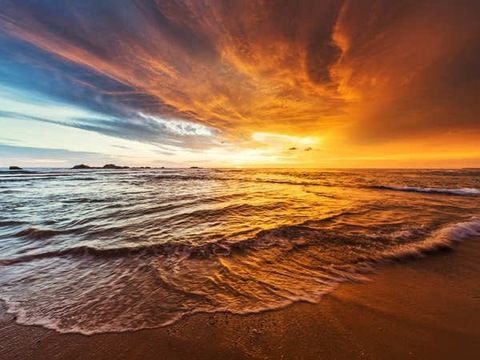 Header of u297801658