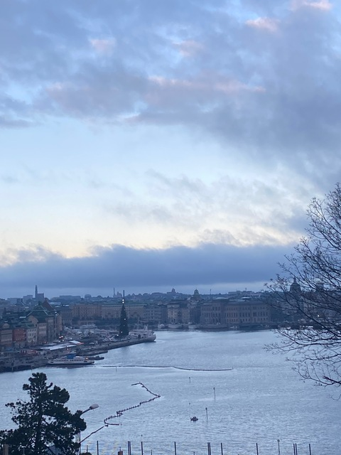 Header of u299334053