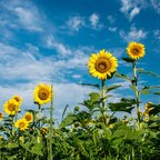 Onlyfans leak u3017924 

 profile picture