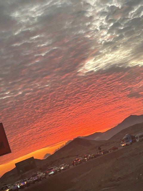 Header of u301968070