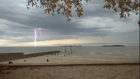 Header of u302008738