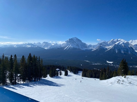 Header of u317450019