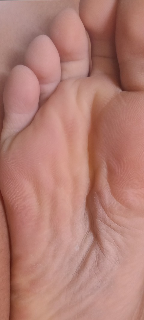 Header of u328162426