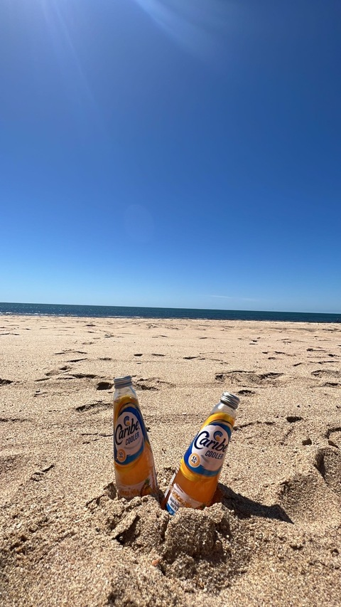 Header of u339811925