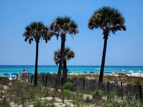 Header of u345652589