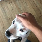 u52371903 (u52371903) OnlyFans content 

 profile picture