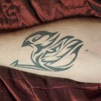 Download u81182724 OnlyFans leaks for free 

 profile picture