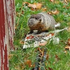 Free access to @u8569728 Leaked OnlyFans 

 profile picture