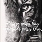 Onlyfans leaks vergon 

 profile picture