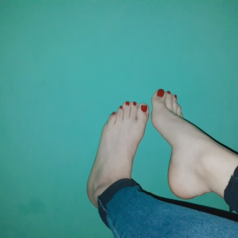 Header of verocastro