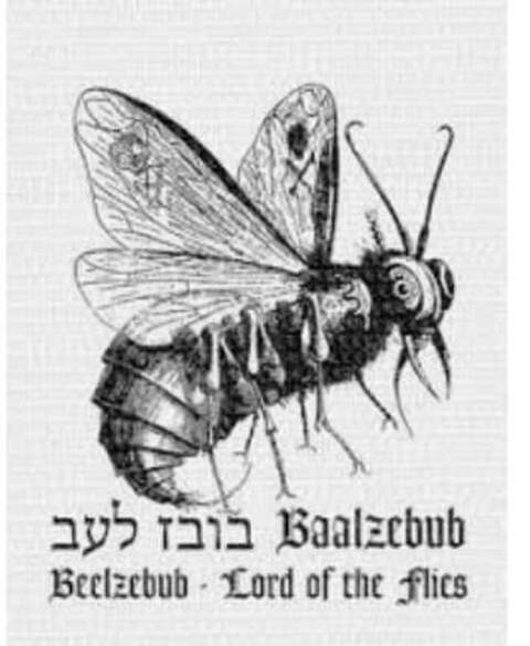 Header of vespervixn