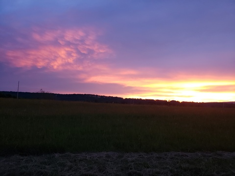 Header of violentviolets13