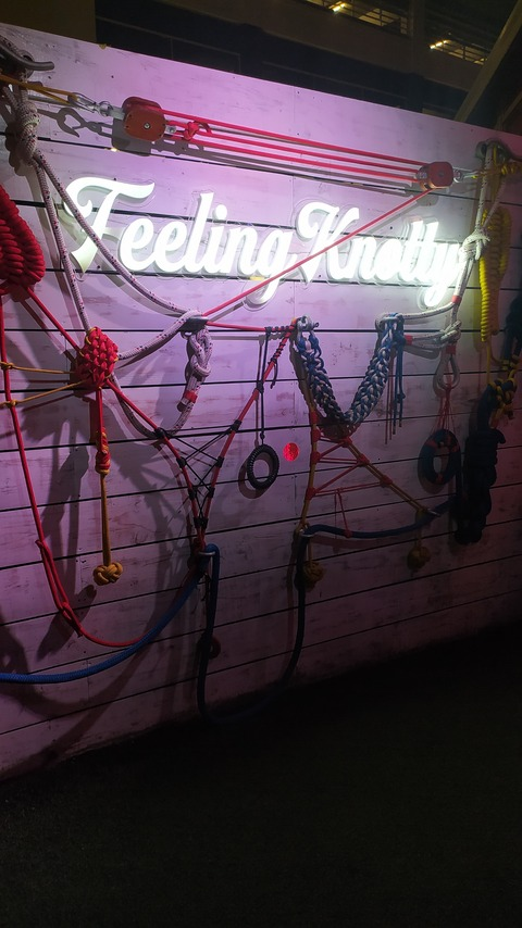 Header of vittorialotti