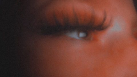 Header of walk_of_steam